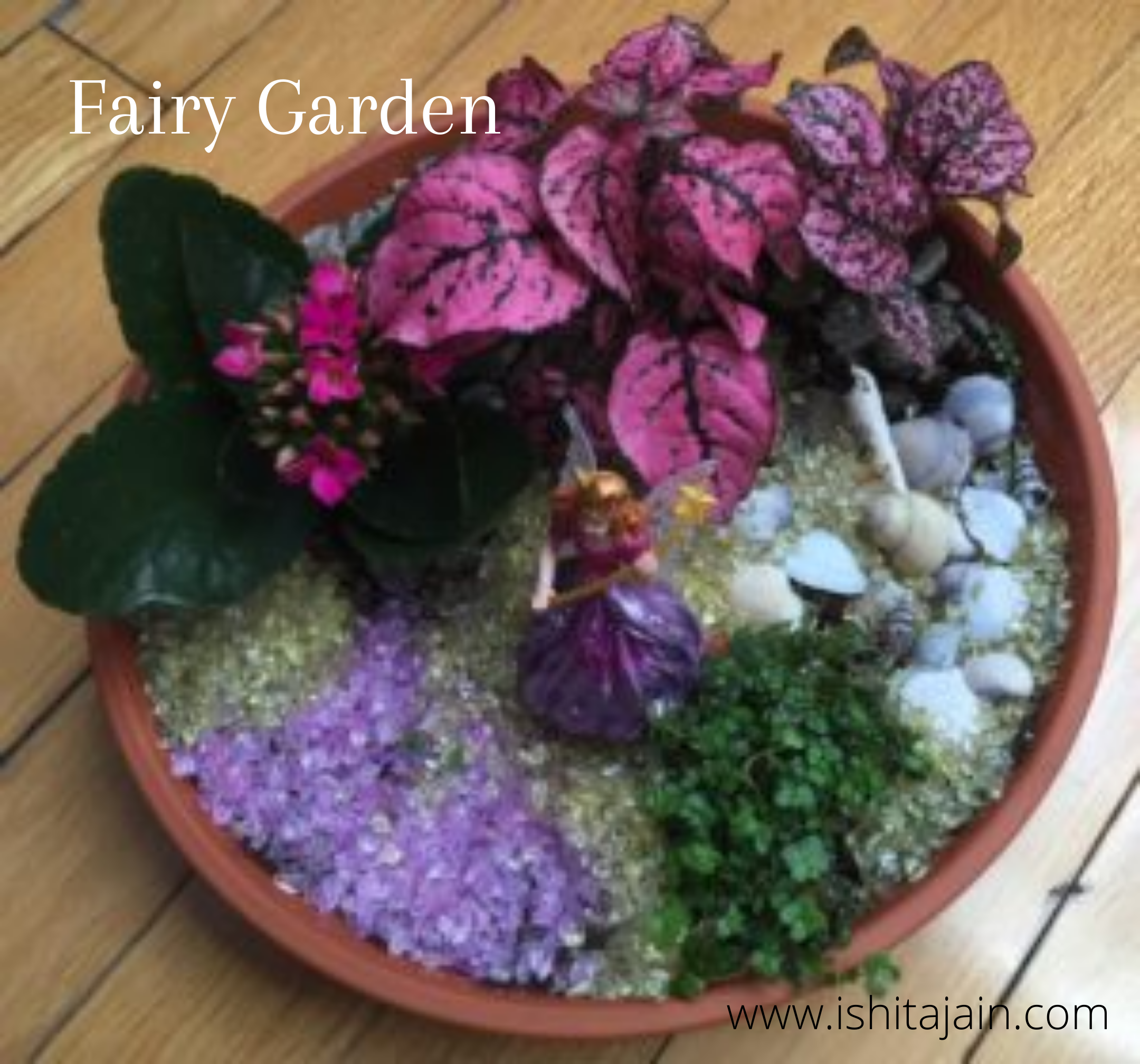 Post #7: My Fairy Garden