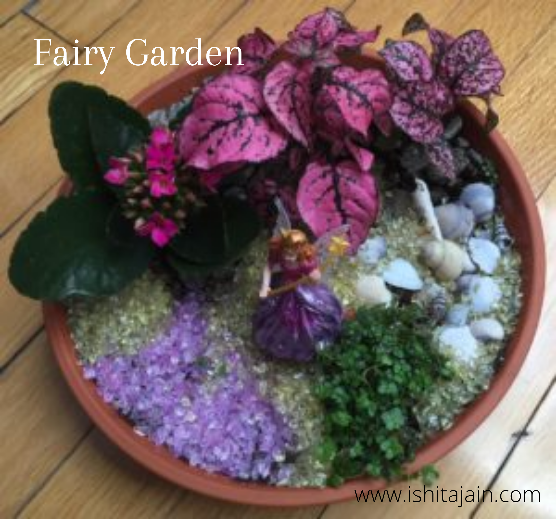 Fairy Garden