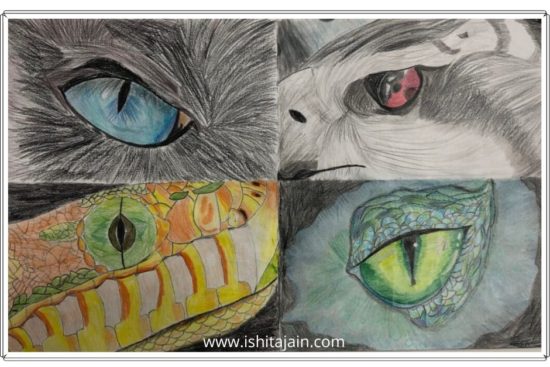 Post #35: Animal Eyes Art