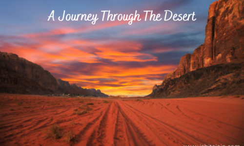 A Journey Through The Desert