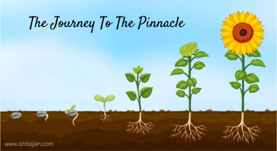 Post #49: The Journey To The Pinnacle