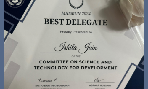 Best Delegate Award